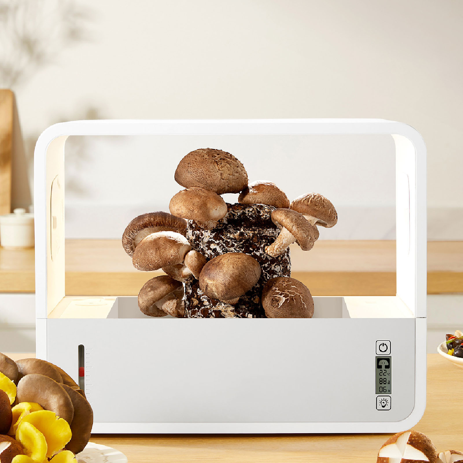 Mushroom Growing Tent Kit Smar - Farming Equipment For Agriculture review and price