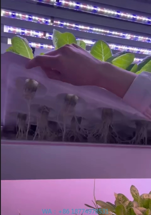 f Greenhouse Agricultural Equi - Farming Equipment For Agriculture review and price