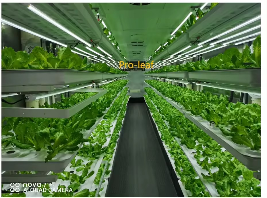 f Greenhouse Agricultural Equi - Farming Equipment For Agriculture review and price