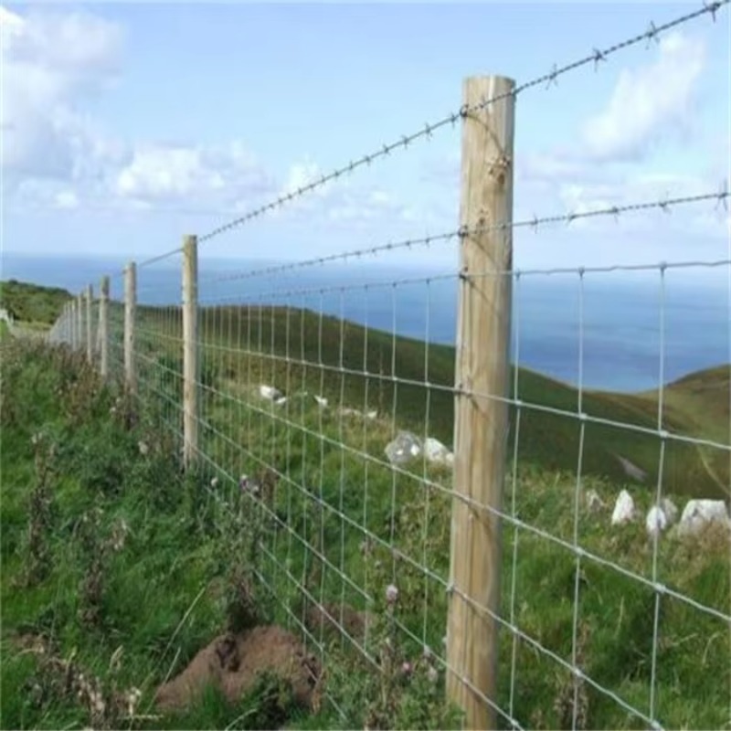 Customized Iron Wire Mesh Fixe - Agriculture Farming Usa review and price