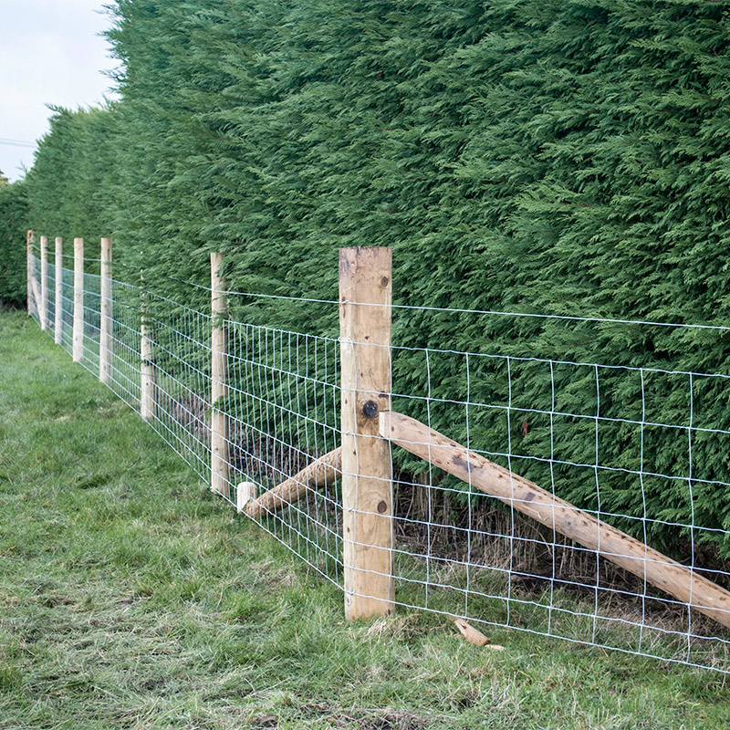 Customized Iron Wire Mesh Fixe - Agriculture Farming Usa review and price