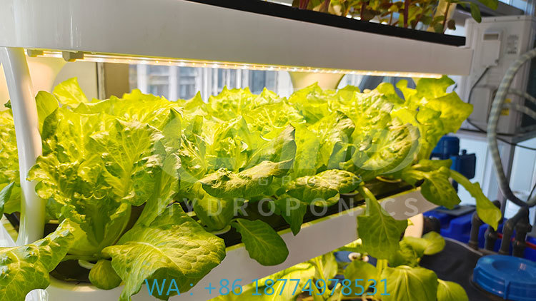 c Agriculture Machine to Growi - Farming Equipment For Agriculture review and price