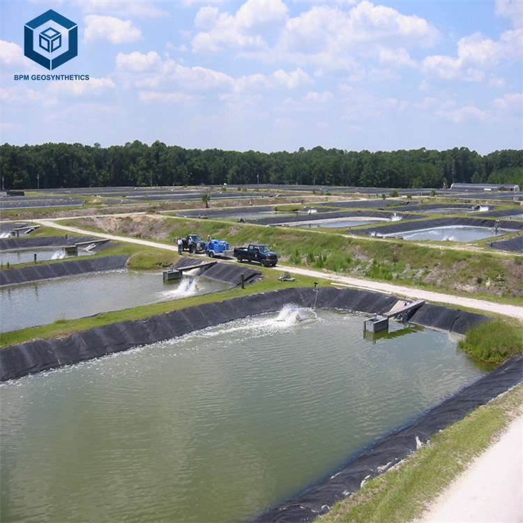Geomembrane Manufacturers Wate - Farm Pond Liner review and price