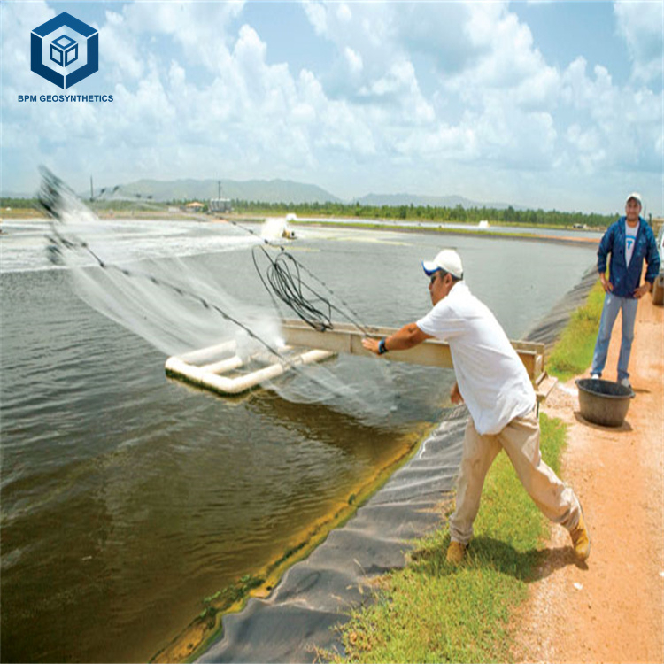Geomembrane Manufacturers Wate - Farm Pond Liner review and price