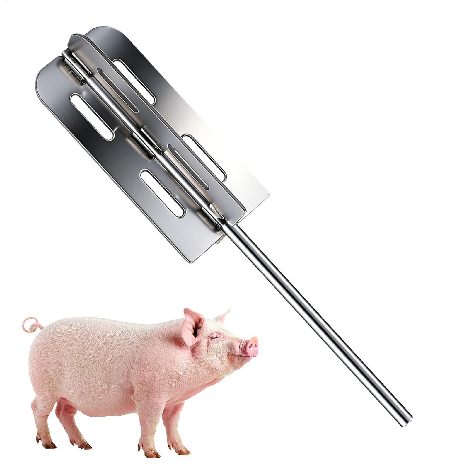 Hog Hair Removal Tool Stainles - Farming Equipment For Agriculture review and price
