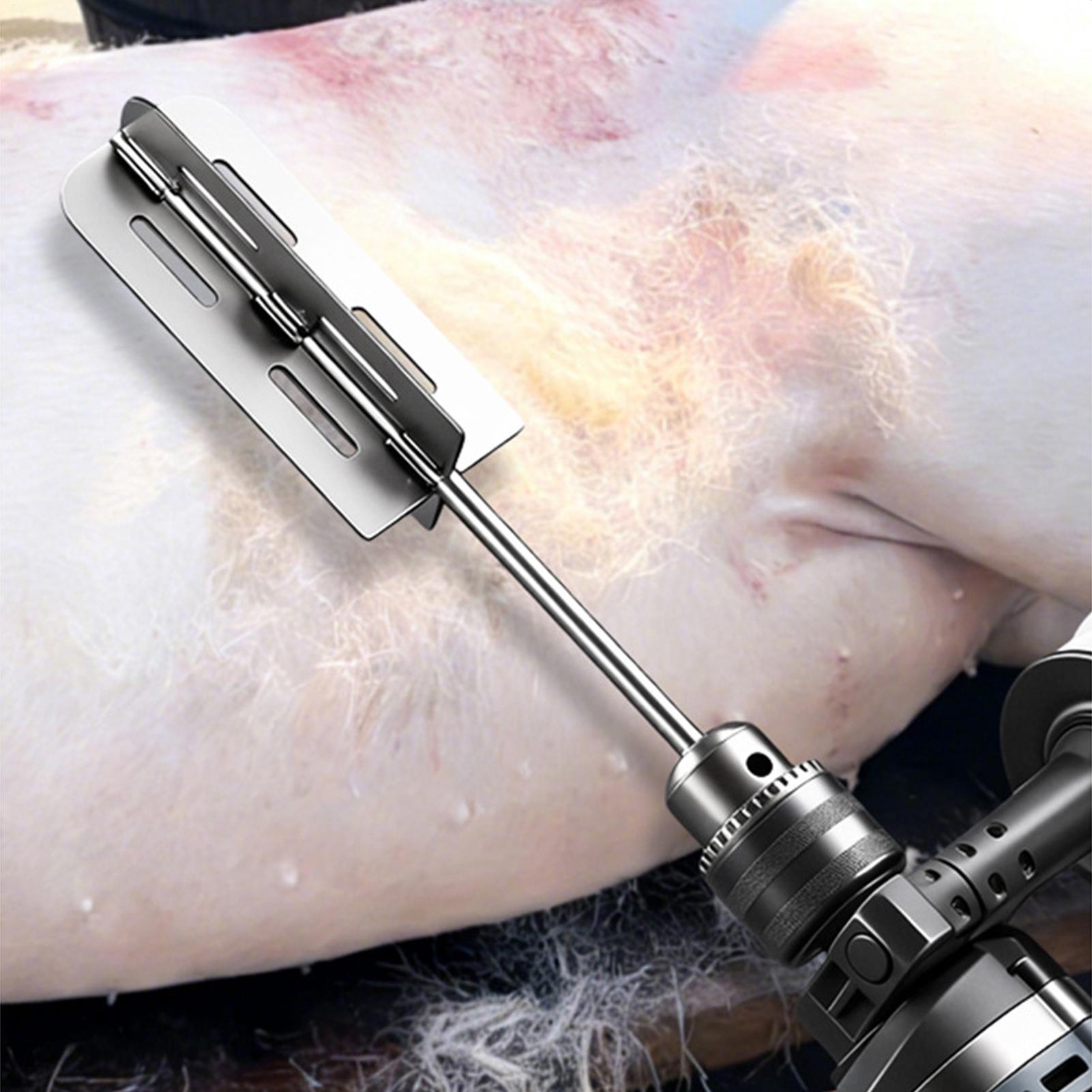 Hog Hair Removal Tool Stainles - Farming Equipment For Agriculture review and price