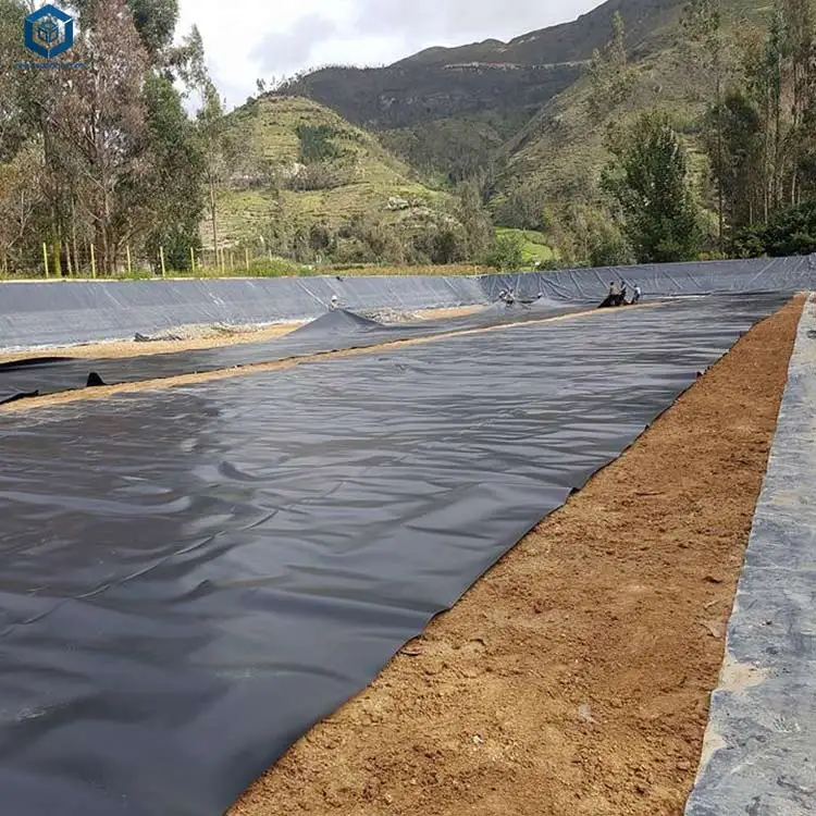 Geomembrane Manufacturers Wate - Farm Pond Liner review and price